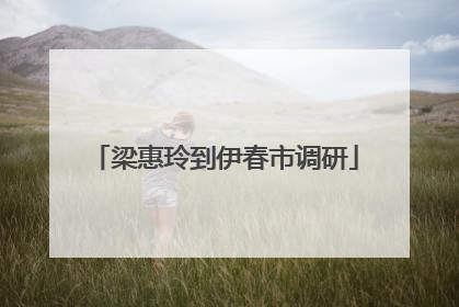 梁惠玲到伊春市调研