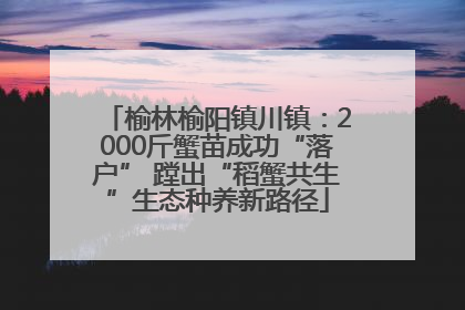 榆林榆阳镇川镇：2000斤蟹苗成功“落户” 蹚出“稻蟹共生”生态种养新路径