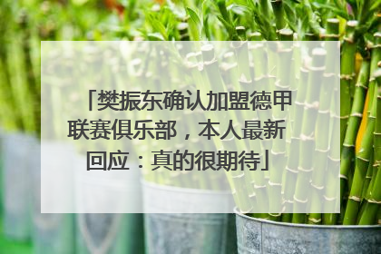 樊振东确认加盟德甲联赛俱乐部，本人最新回应：真的很期待