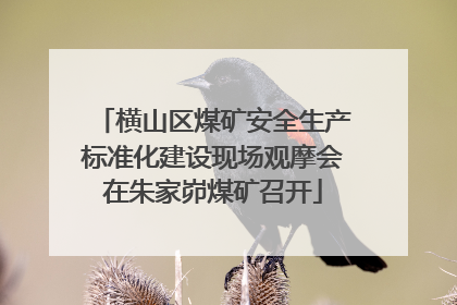 横山区煤矿安全生产标准化建设现场观摩会在朱家峁煤矿召开