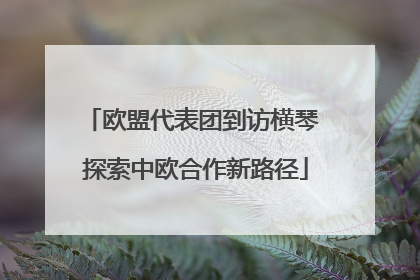 欧盟代表团到访横琴 探索中欧合作新路径