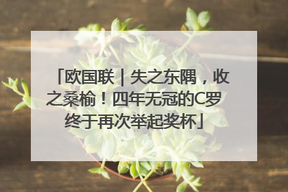 欧国联｜失之东隅，收之桑榆！四年无冠的C罗终于再次举起奖杯