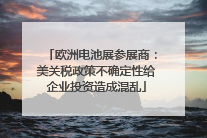欧洲电池展参展商：美关税政策不确定性给企业投资造成混乱