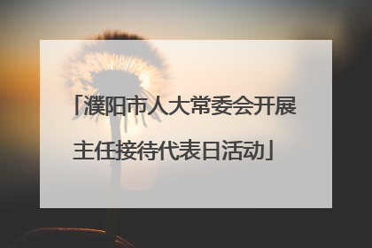 濮阳市人大常委会开展主任接待代表日活动