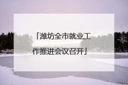 潍坊全市就业工作推进会议召开