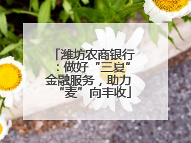 潍坊农商银行：做好“三夏”金融服务，助力“麦”向丰收