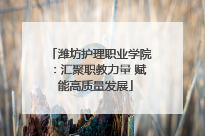 潍坊护理职业学院：汇聚职教力量 赋能高质量发展