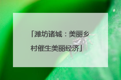 潍坊诸城：美丽乡村催生美丽经济