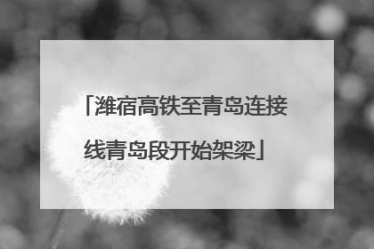 潍宿高铁至青岛连接线青岛段开始架梁