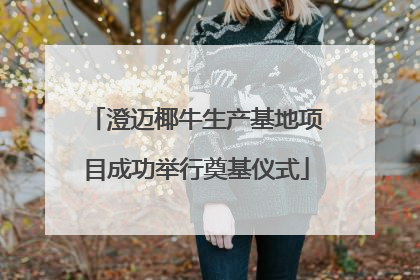 澄迈椰牛生产基地项目成功举行奠基仪式
