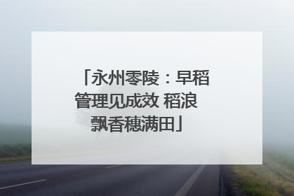 永州零陵：早稻管理见成效 稻浪飘香穗满田
