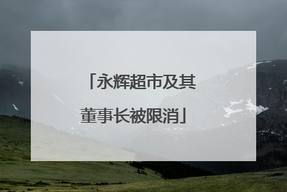 永辉超市及其董事长被限消