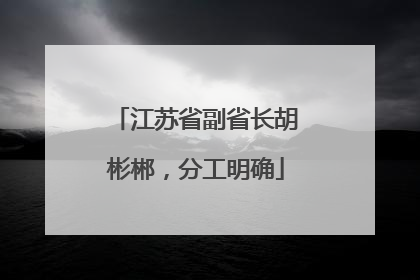 江苏省副省长胡彬郴，分工明确