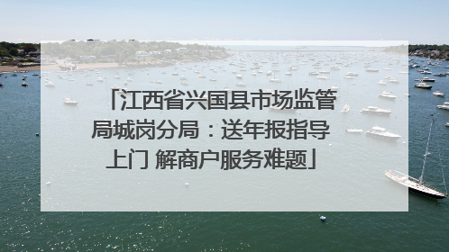 江西省兴国县市场监管局城岗分局：送年报指导上门 解商户服务难题
