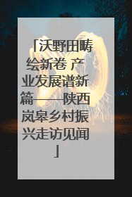 沃野田畴绘新卷 产业发展谱新篇——陕西岚皋乡村振兴走访见闻