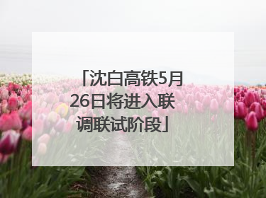 沈白高铁5月26日将进入联调联试阶段