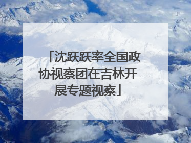 沈跃跃率全国政协视察团在吉林开展专题视察