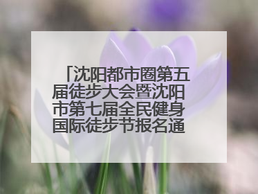 沈阳都市圈第五届徒步大会暨沈阳市第七届全民健身国际徒步节报名通道开启