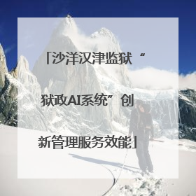沙洋汉津监狱“狱政AI系统”创新管理服务效能