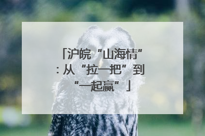 沪皖“山海情”：从“拉一把”到“一起赢”