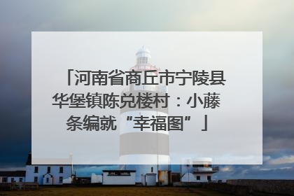 河南省商丘市宁陵县华堡镇陈兑楼村：小藤条编就“幸福图”