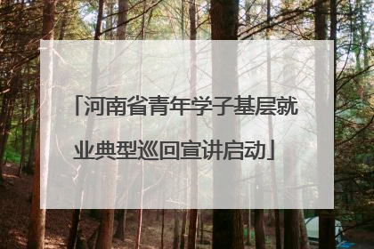 河南省青年学子基层就业典型巡回宣讲启动