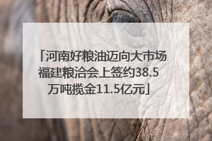 河南好粮油迈向大市场 福建粮洽会上签约38.5万吨揽金11.5亿元