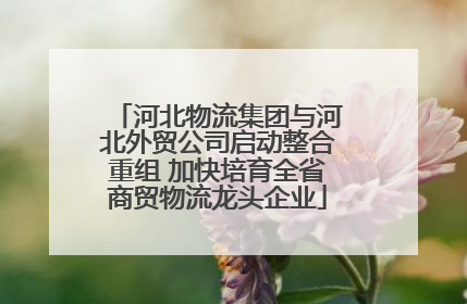 河北物流集团与河北外贸公司启动整合重组 加快培育全省商贸物流龙头企业