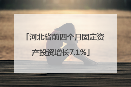 河北省前四个月固定资产投资增长7.1%