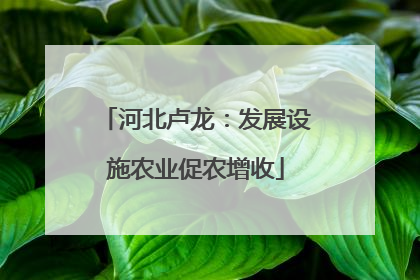 河北卢龙：发展设施农业促农增收