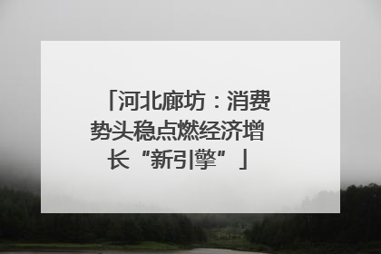 河北廊坊：消费势头稳点燃经济增长“新引擎”