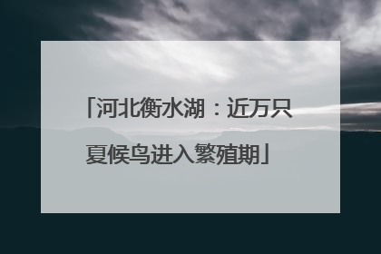 河北衡水湖：近万只夏候鸟进入繁殖期