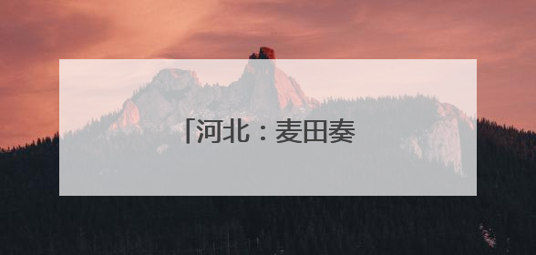 河北：麦田奏响丰收乐章