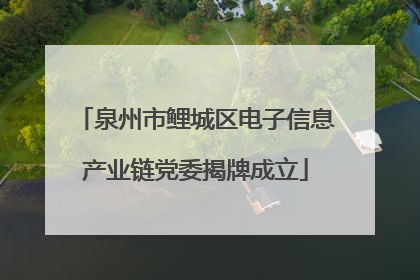 泉州市鲤城区电子信息产业链党委揭牌成立
