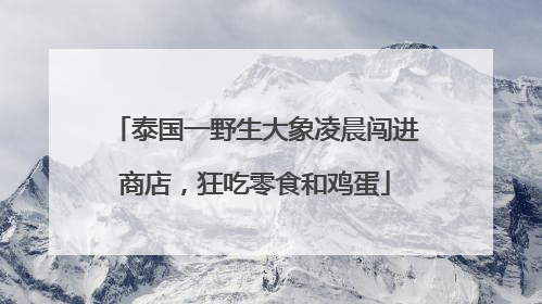 泰国一野生大象凌晨闯进商店，狂吃零食和鸡蛋
