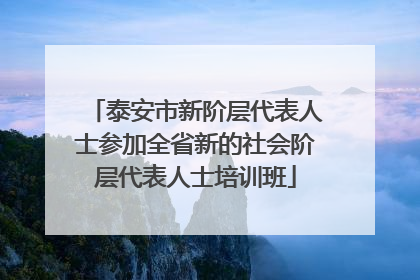泰安市新阶层代表人士参加全省新的社会阶层代表人士培训班