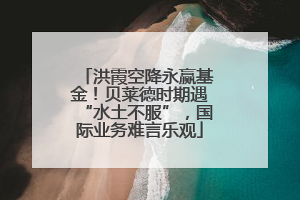 洪霞空降永赢基金！贝莱德时期遇“水土不服”，国际业务难言乐观