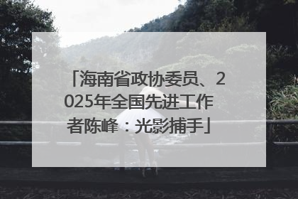 海南省政协委员、2025年全国先进工作者陈峰：光影捕手
