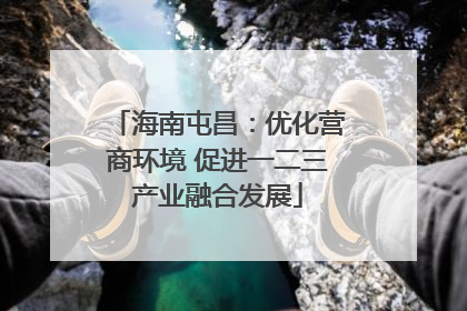 海南屯昌：优化营商环境 促进一二三产业融合发展