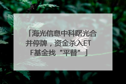 海光信息中科曙光合并停牌，资金杀入ETF基金找“平替”
