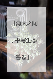 海天之间，书写生态答卷