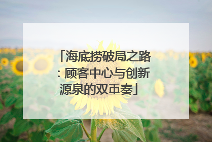 海底捞破局之路：顾客中心与创新源泉的双重奏
