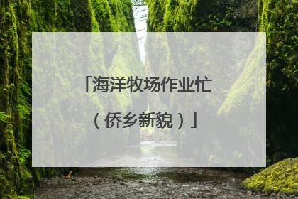 海洋牧场作业忙（侨乡新貌）