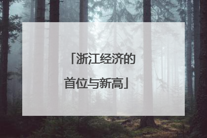 浙江经济的首位与新高