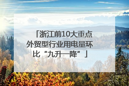 浙江前10大重点外贸型行业用电量环比“九升一降”