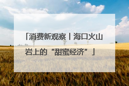 消费新观察丨海口火山岩上的“甜蜜经济”