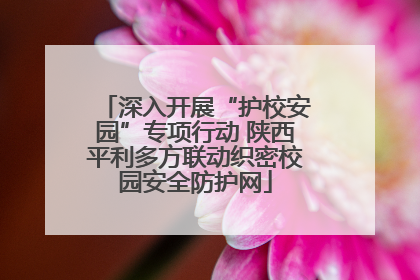 深入开展“护校安园”专项行动 陕西平利多方联动织密校园安全防护网