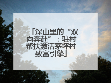 深山里的“双向奔赴”：驻村帮扶激活茅坪村致富引擎