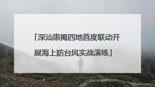 深汕惠揭四地首度联动开展海上防台风实战演练