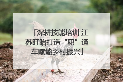 深耕技能培训 江苏盱眙打造“职”通车赋能乡村振兴